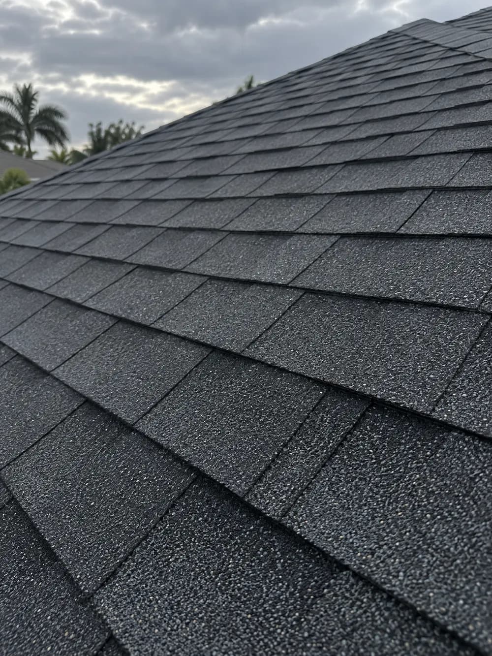 Architectural shingle, close
